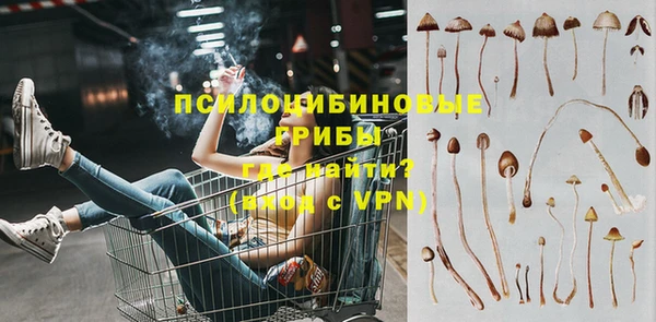 крисы Алексин