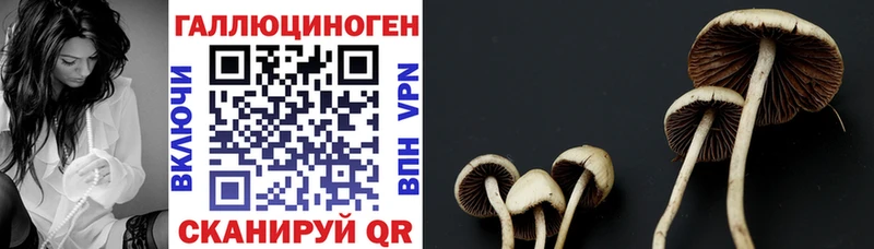 Галлюциногенные грибы Cubensis  Борисоглебск 