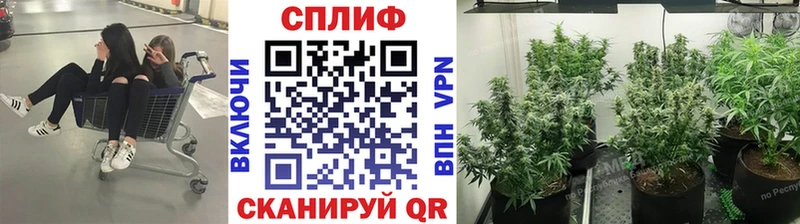 Бошки марихуана Ganja ссылка на мегу сайт Борисоглебск